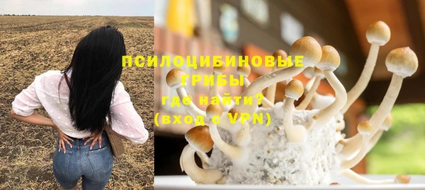 кристаллы Заводоуковск
