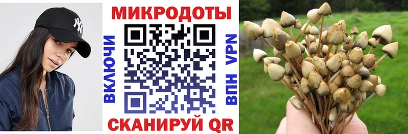 Галлюциногенные грибы мицелий  Купить где  Алупка 
